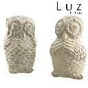 lechuza-Photoroom.webp