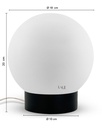 Lámpara Globo Porteño 18Ø Hierro Mod:10X18 Base Colores Varios