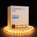 Tira Led SMD2835 220V Rollo x1 Metros Candela